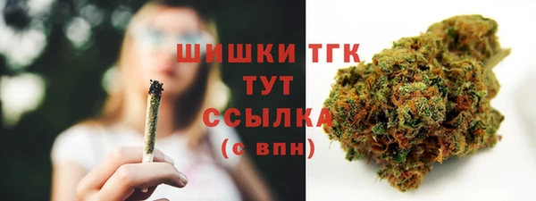 гидра Михайловск