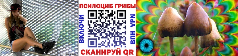 дарнет шоп  Сертолово  Галлюциногенные грибы мицелий 