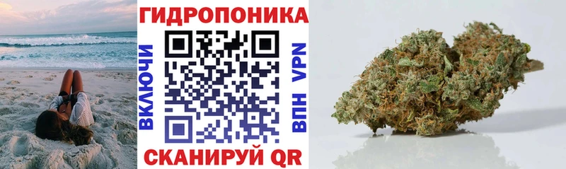 kraken tor  Сертолово  Шишки марихуана LSD WEED 